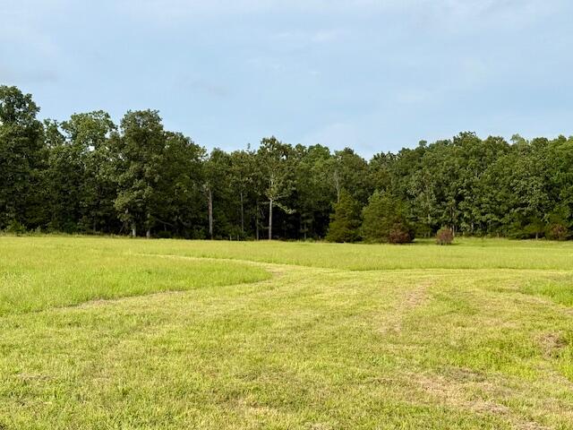 3379 State Route West Summersville, MO 65571 - Photo 65 of 88 IMG_7350