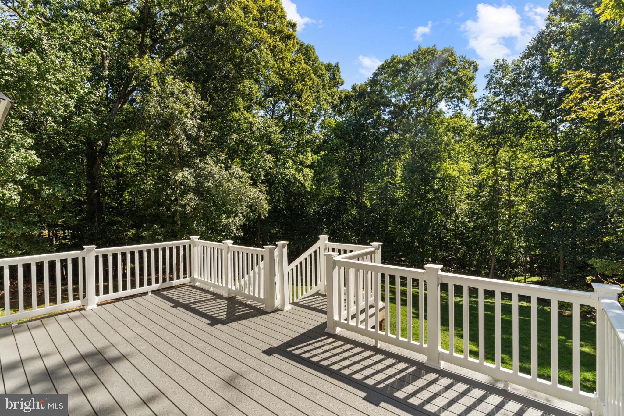 12919 Mill Road Fredericksburg, VA 22407 - Photo 40 of 47 ..for relaxing or entertaining