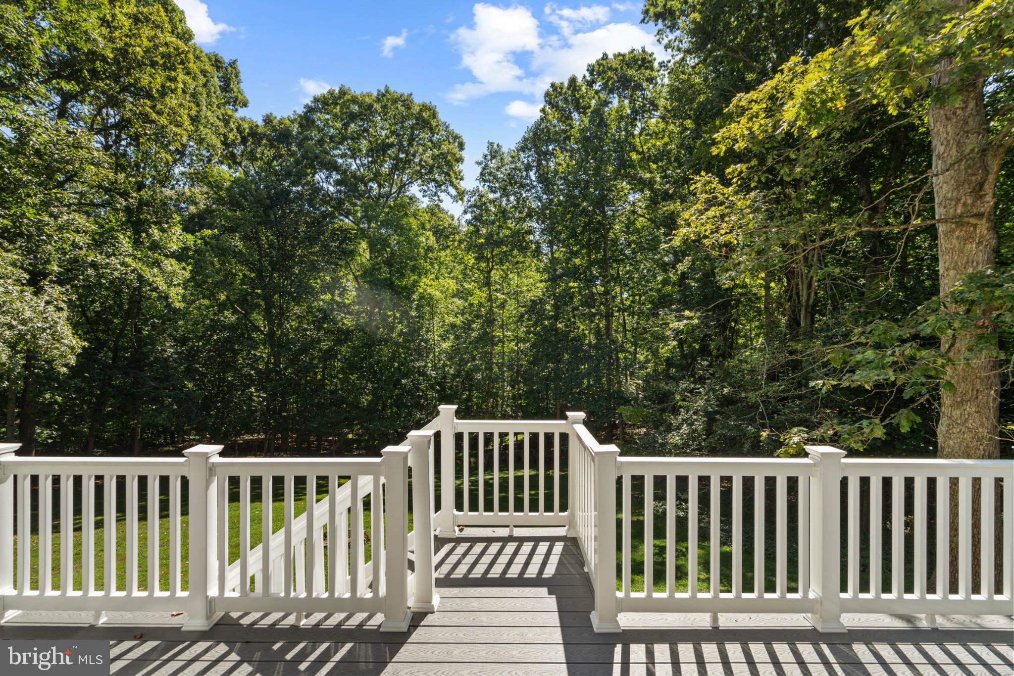 12919 Mill Road Fredericksburg, VA 22407 - Photo 41 of 47 Perfect for hosting barbecues...