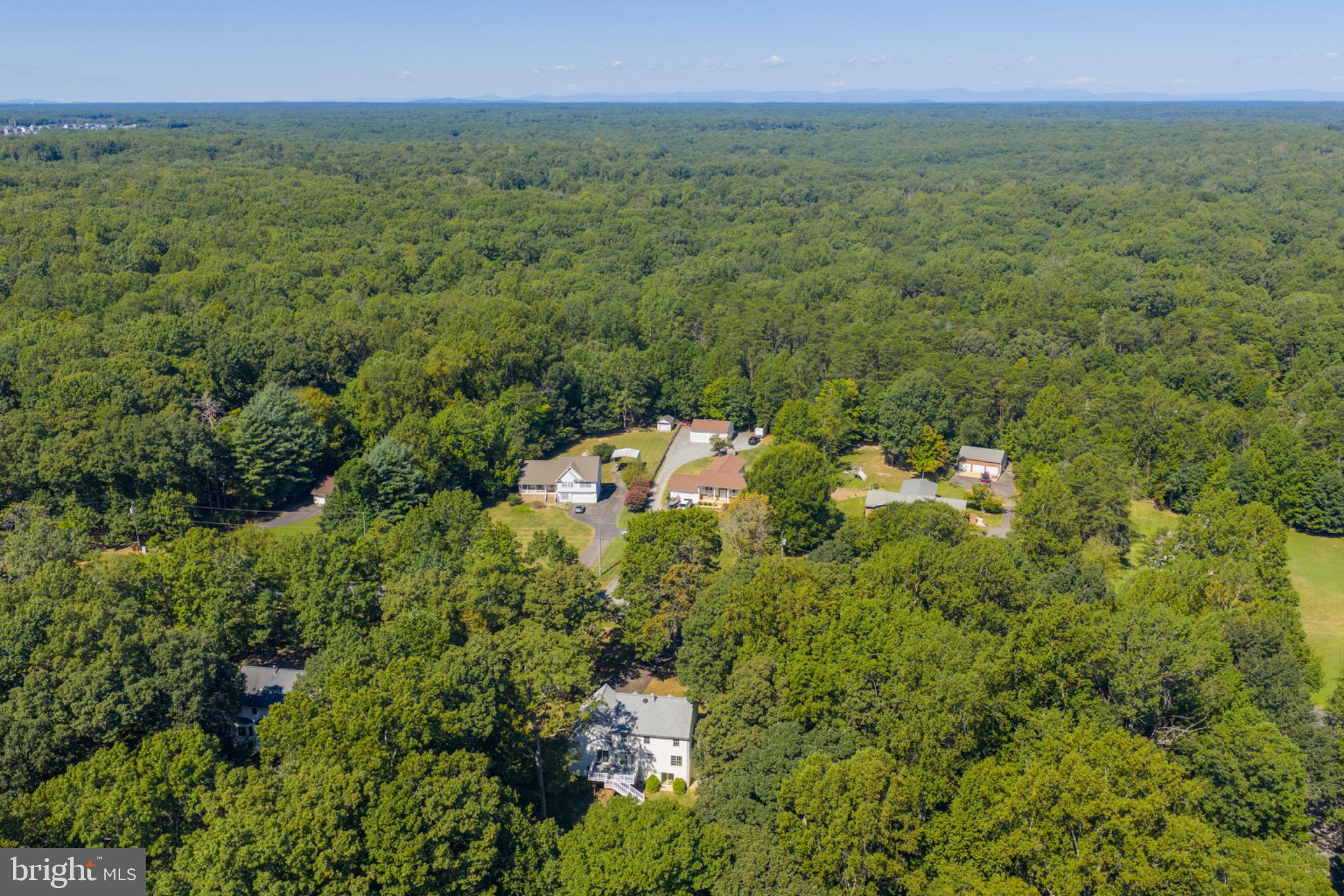 12919 Mill Road Fredericksburg, VA 22407 - Photo 46 of 47 Trees galore