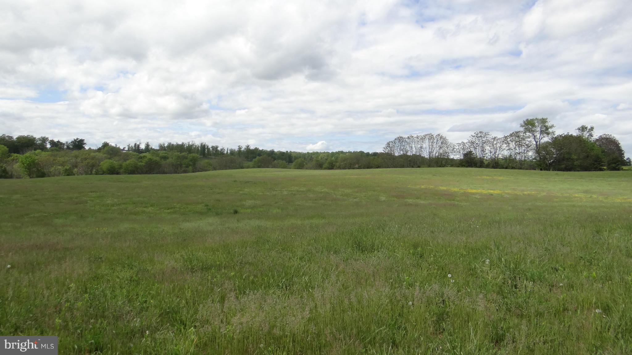 Spring Creek Drive Rixeyville, VA 22737 - Photo 2 of 2 View
