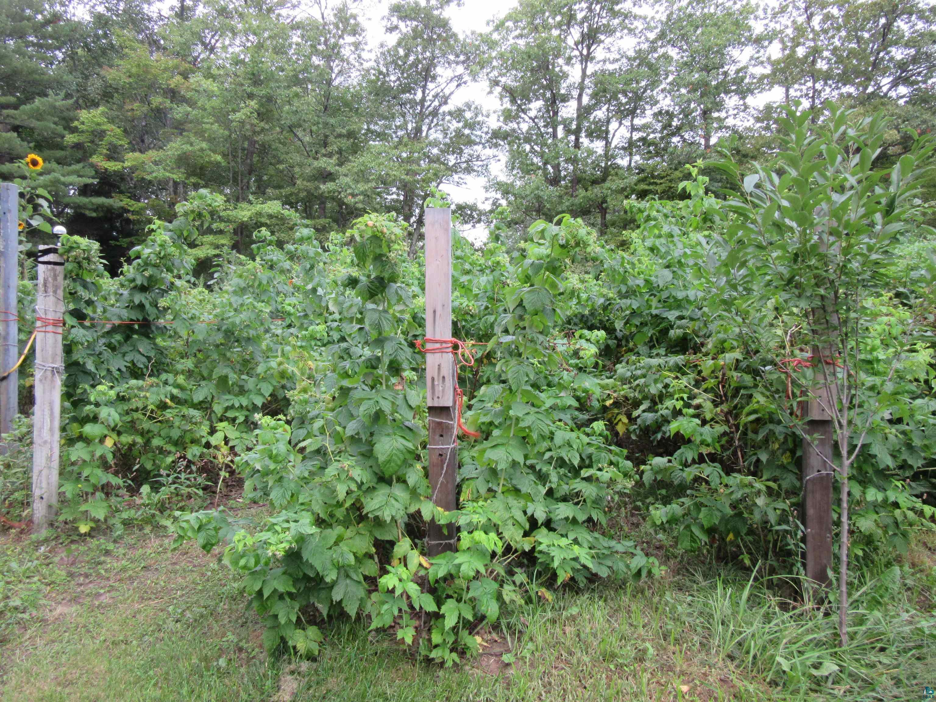 87980 Torbick Road Bayfield, WI 54814 - Photo 12 of 42 Gallery Image 12