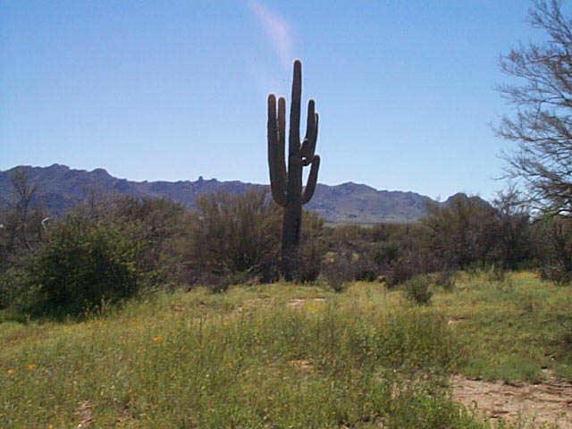 27 North 174th Street Rio Verde, AZ 85263 - Photo 1 of 1 Primary Photo