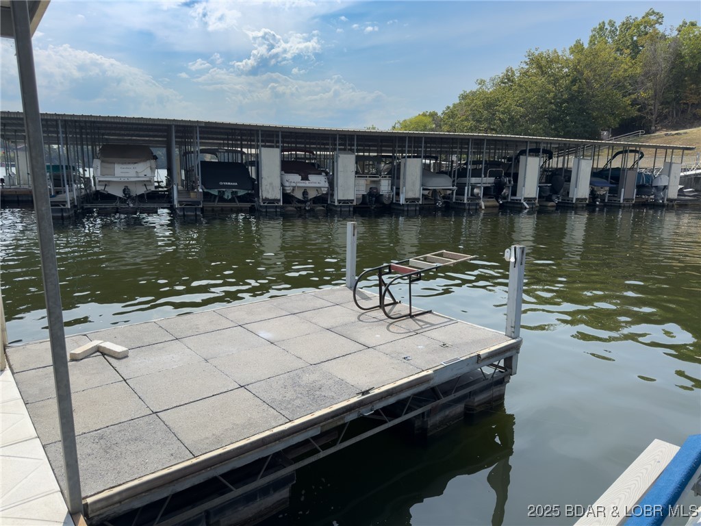 210 Bluff Boulevard, Unit 4B Camdenton, MO 65020 - Photo 41 of 69 Swim Platform on community dock