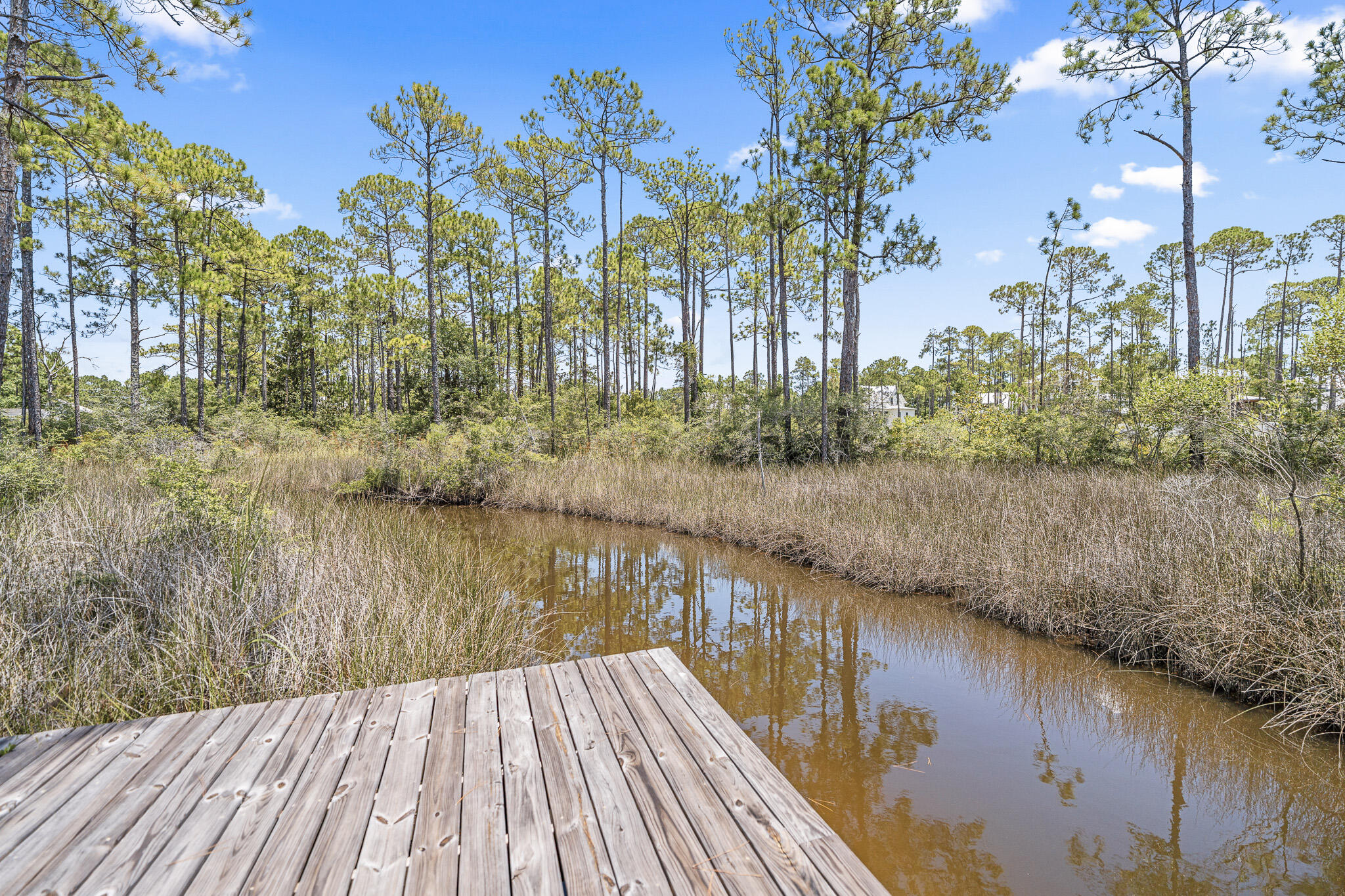 109 West Nursery Road Santa Rosa Beach, FL 32459 - Photo 32 of 60 Private Dock
