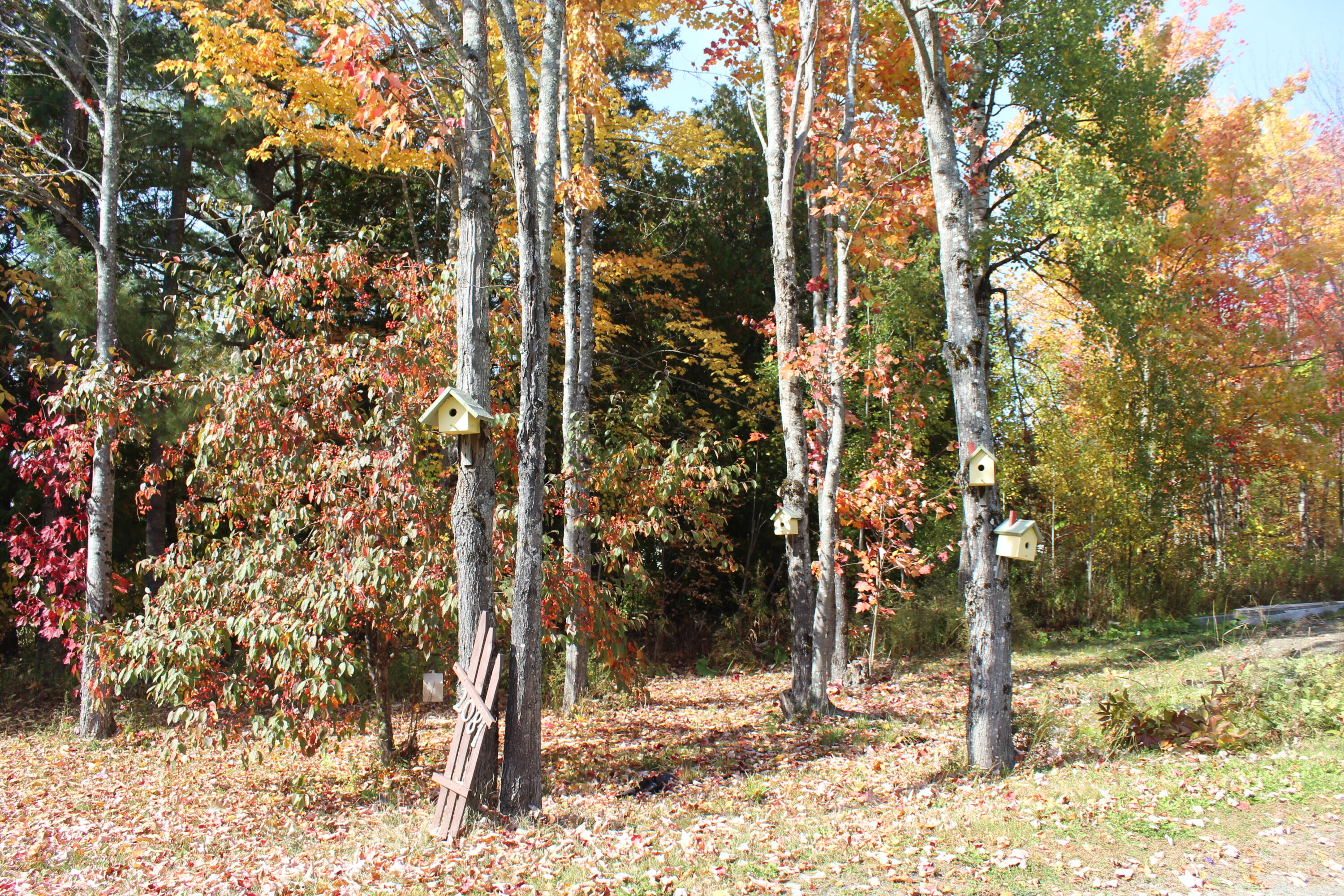 2081 County Road Ludlow, ME 04730 - Photo 24 of 29 IMG_7747