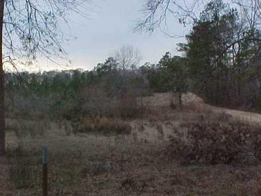 61235 Carrier Road Amite, LA 70422 - Photo 3 of 5 Gallery Image 3