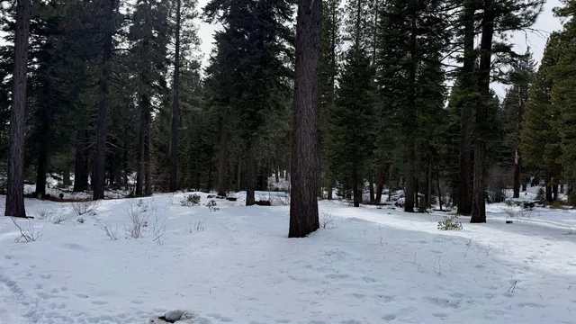 $99,000 | 7464 Lily Lane, Tahoe Vista, CA 96148