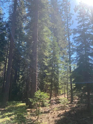 $99,000 | 7464 Lily Lane, Tahoe Vista, CA 96148