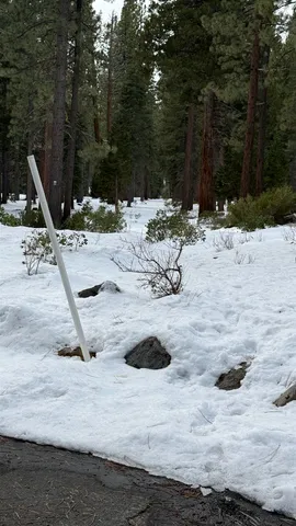 $99,000 | 7464 Lily Lane, Tahoe Vista, CA 96148