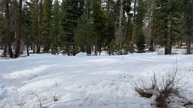 $99,000 | 7464 Lily Lane, Tahoe Vista, CA 96148