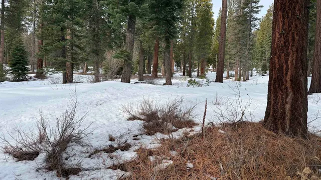 $99,000 | 7464 Lily Lane, Tahoe Vista, CA 96148