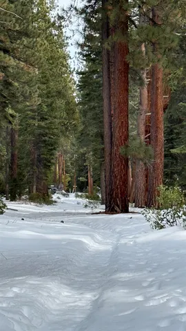 $99,000 | 7464 Lily Lane, Tahoe Vista, CA 96148