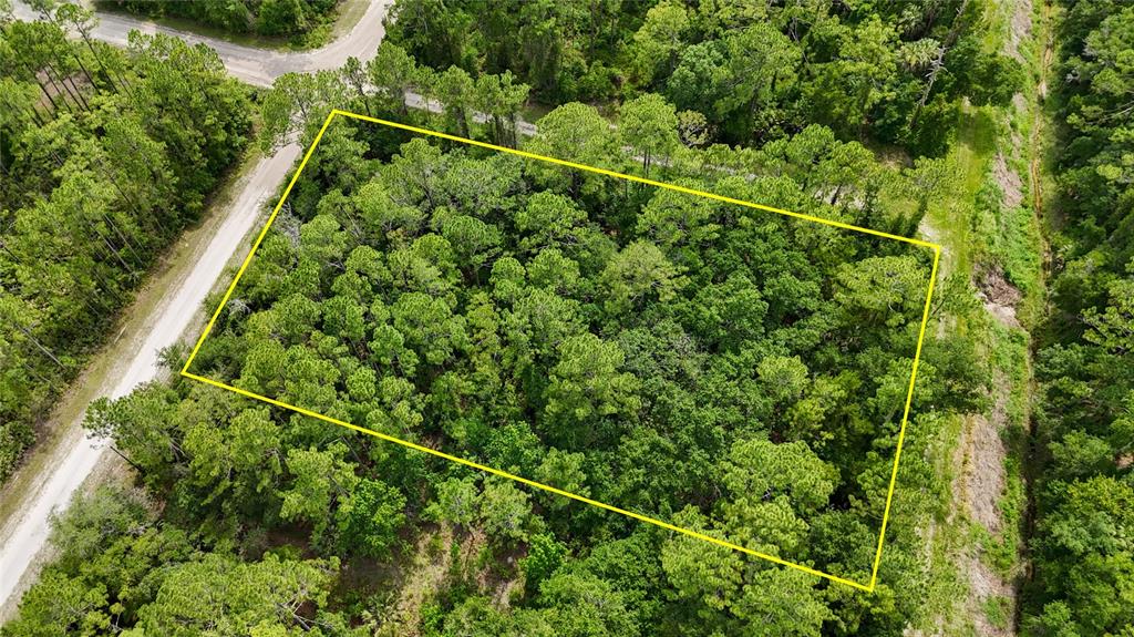 5446 Mango Avenue Bunnell, FL 32110 - Photo 14 of 17