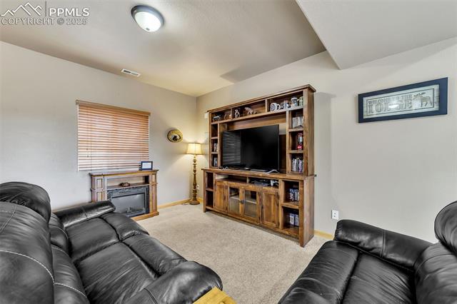 1055 Timber Ridge Road Divide, CO 80814 - Photo 22 of 47 Living room with carpet floors, a glass covered fireplace, baseboards, and visible vents