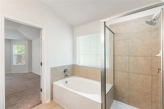 a bathroom with a bathtub and shower
