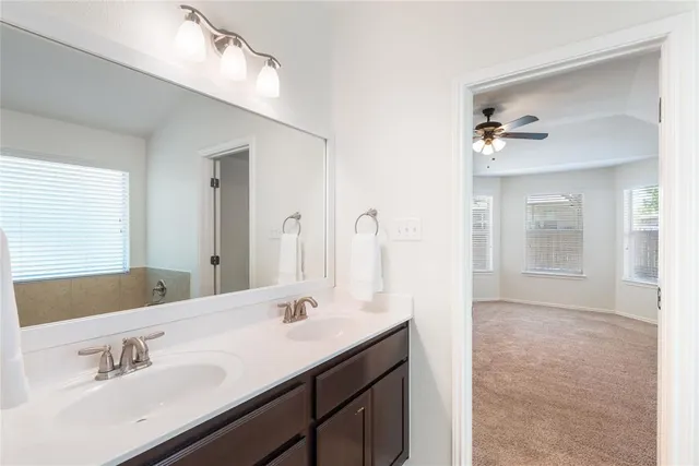 a bathroom with a sink vanity and a mirror