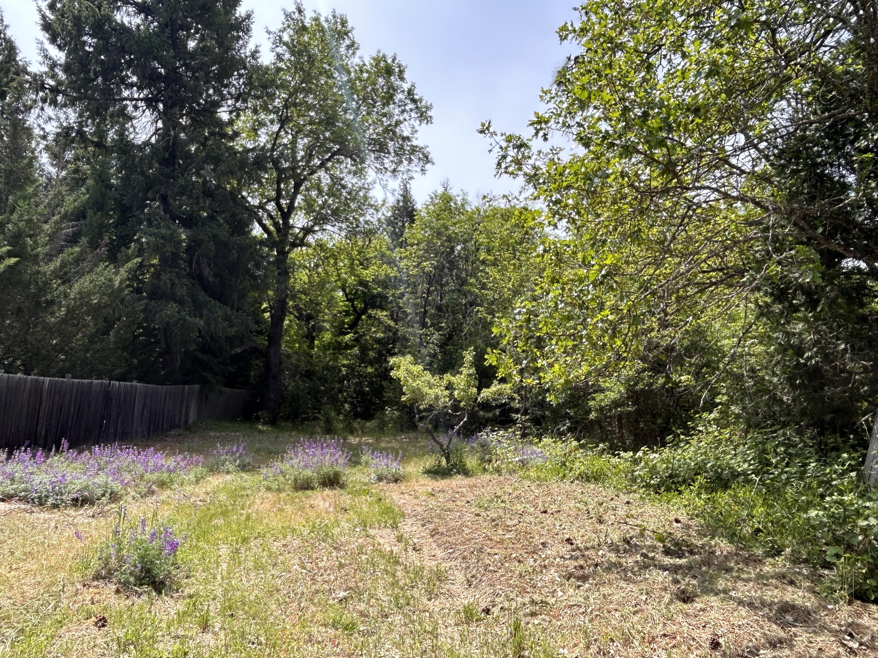 1773 Cedar Flat Road Williams, OR 97544 - Photo 2 of 13 a view of a backyard with plants and large trees