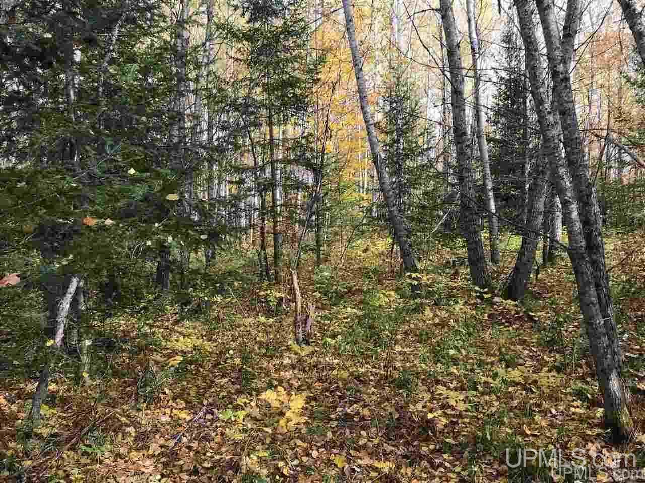 Dn Road Rock, MI 49880 - Photo 5 of 15