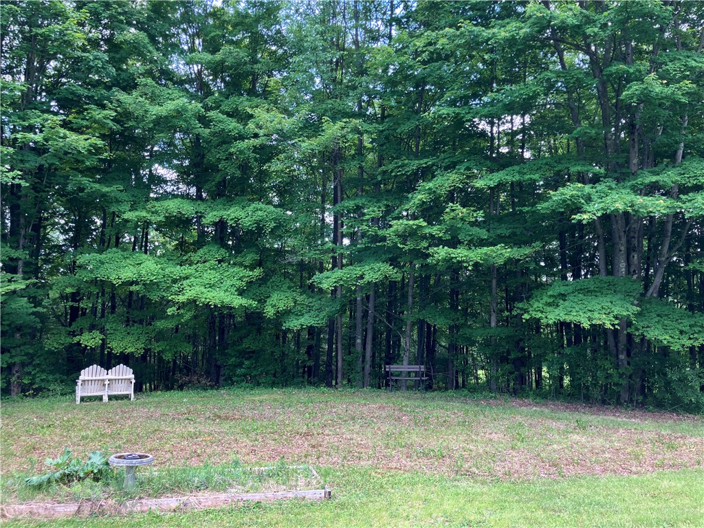 427 Rorick Hollow Road Erin, NY 14861 - Photo 9 of 47