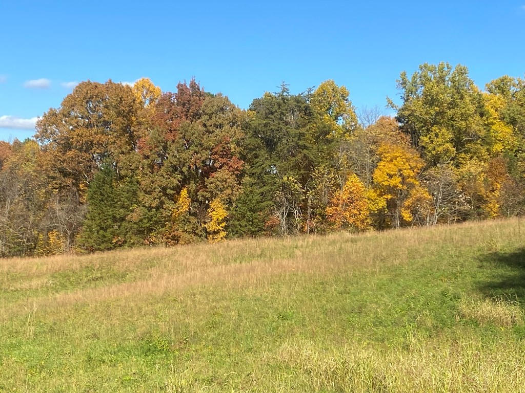 12 Thomas Cross Road Sevierville, TN 37876 - Photo 6 of 9
