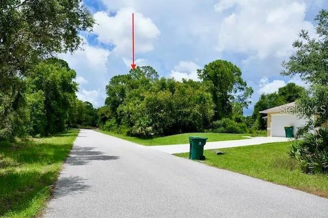a view of a garden with large trees