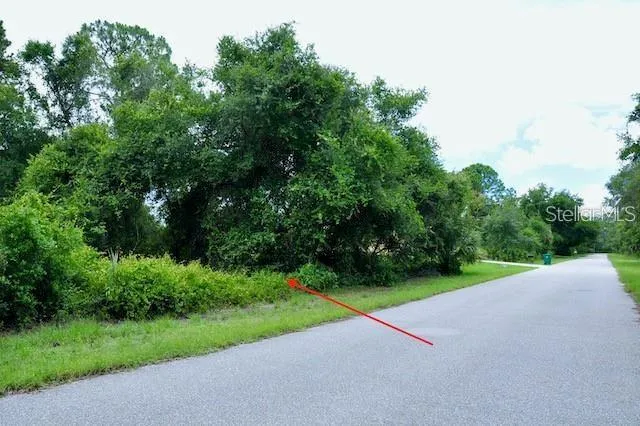 a view of a park and trees