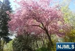 $2,100,000 | 5 Summit Terrace North, Butler, NJ 07405