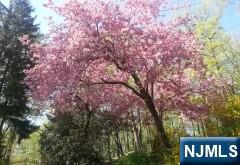 5 Summit Terrace North Butler, NJ 07405 - Photo 47 of 49