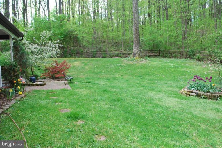 2805 Sandy Hook Road Forest Hill, MD 21050 - Photo 27 of 28 Yard