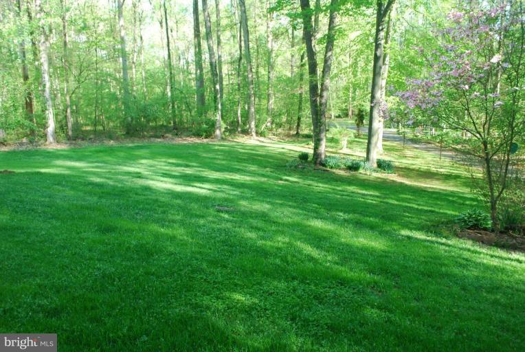 2805 Sandy Hook Road Forest Hill, MD 21050 - Photo 5 of 28 Yard