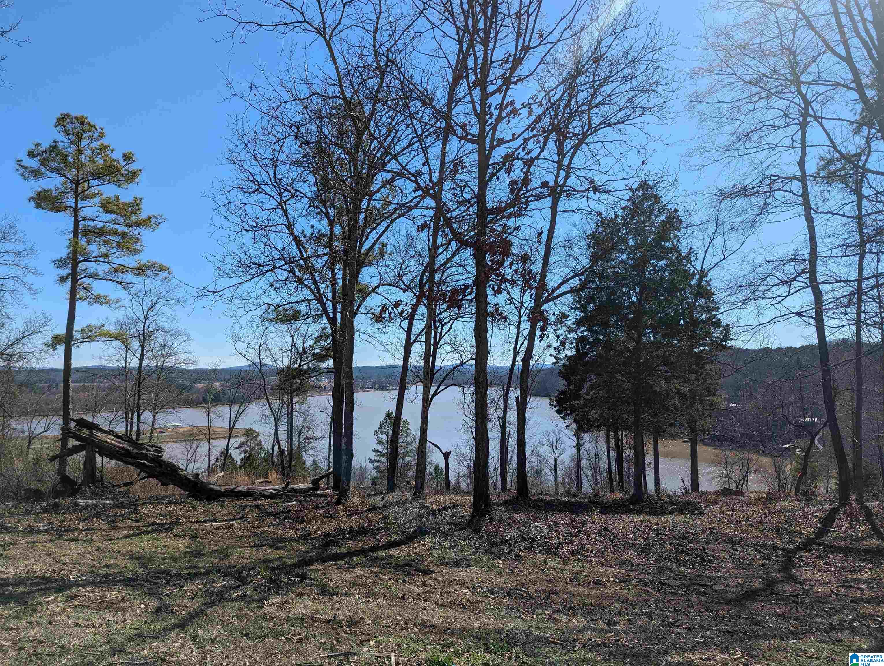 0 Overlook Ridge Lincoln, AL 35096 - Photo 14 of 33
