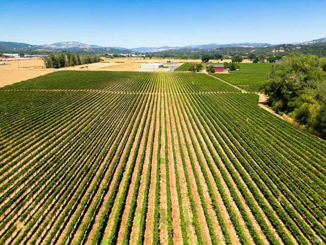 a view of a lush green hillside and a building