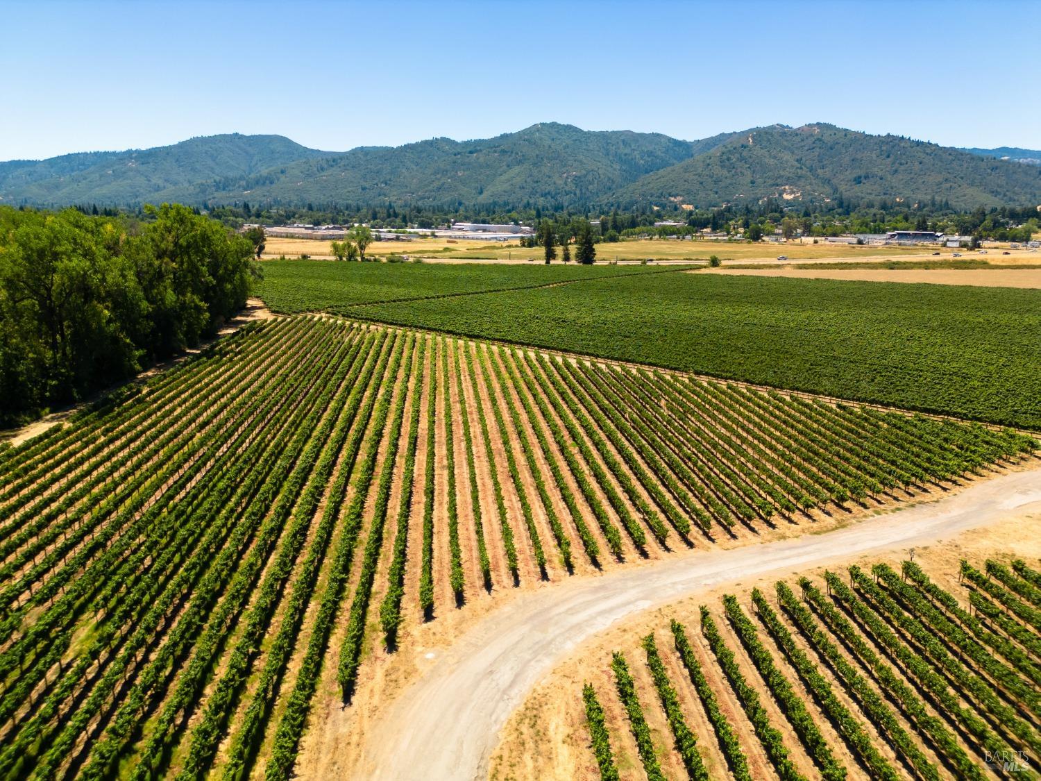 700 Ford Road Ukiah, CA 95482 - Photo 26 of 36 a view of outdoor space yard and mountain view in back