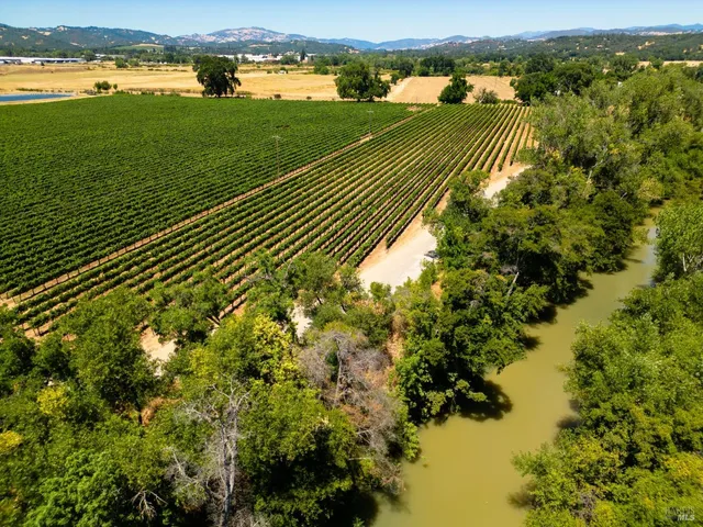 a view of a garden with a lake
