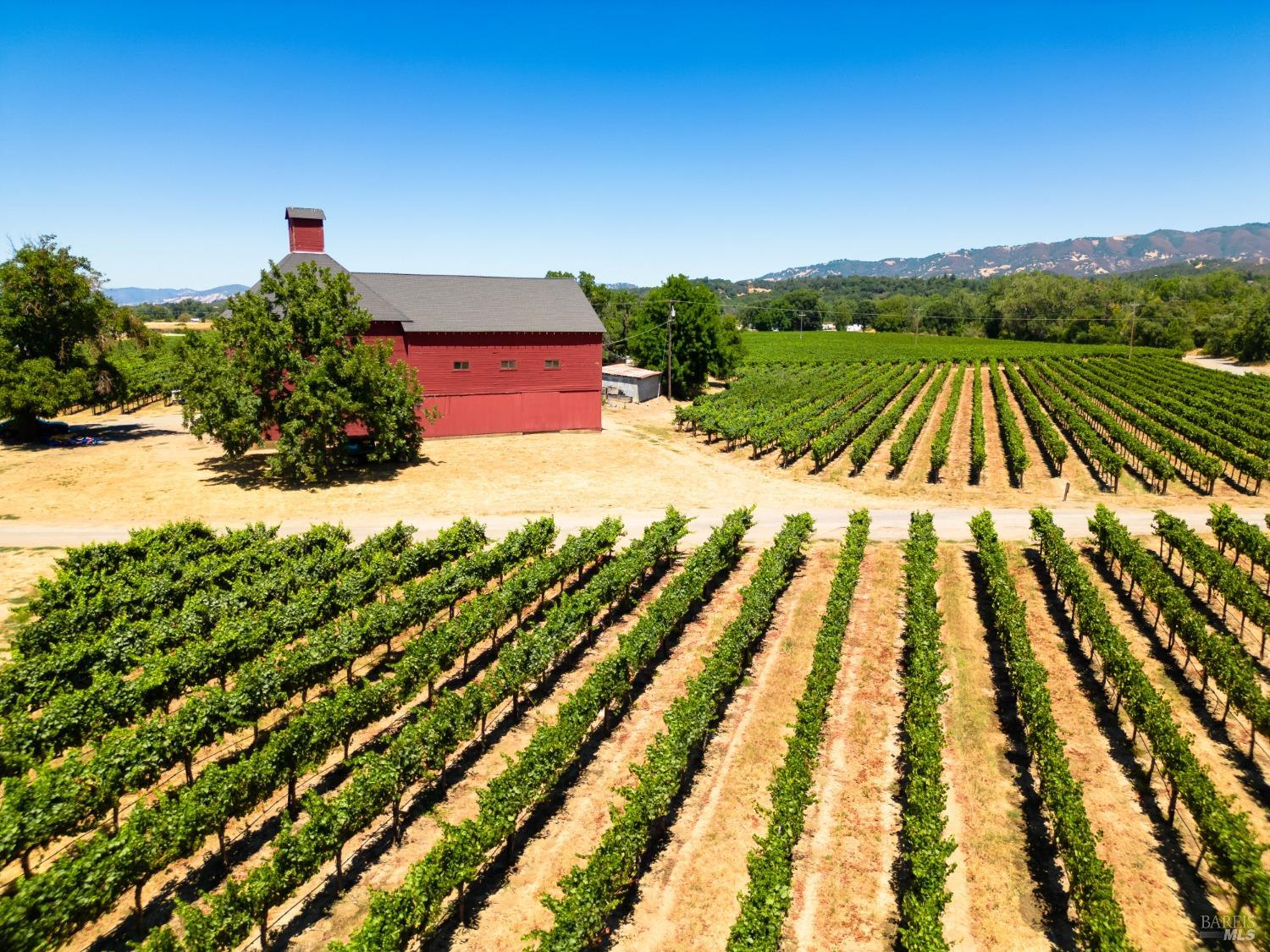 700 Ford Road Ukiah, CA 95482 - Photo 6 of 36 a view of backyard with outdoor space