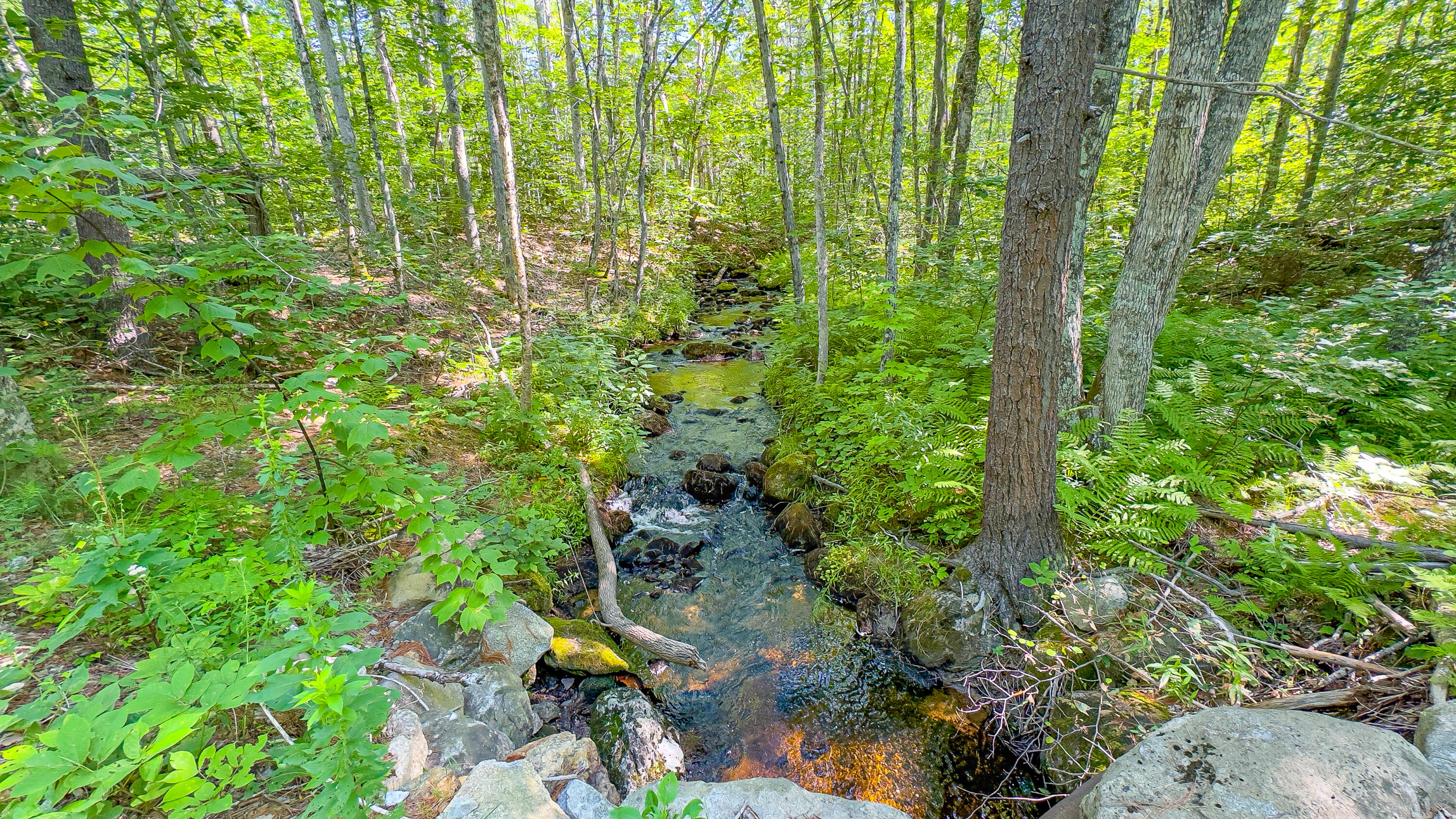 21 Bradley Pond Road Lovell, ME 04051 - Photo 23 of 64 bradley pond road-18