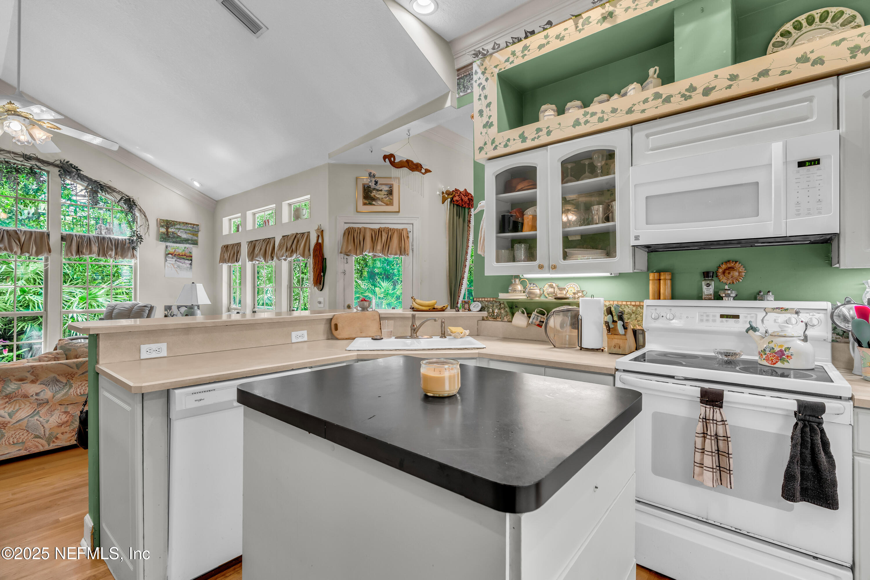 244 Bluebird Lane St. Augustine Beach, FL 32080 - Photo 19 of 66 kitchen 3