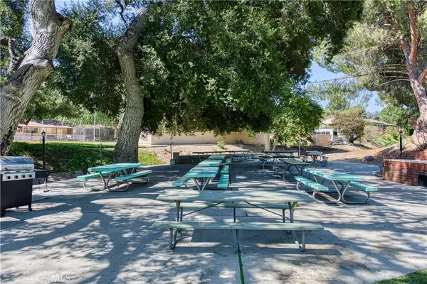 a view of a yard with plants and trees