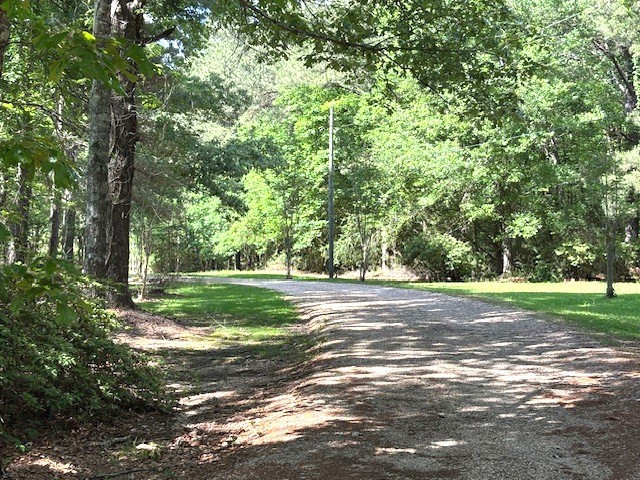 37 Adron Boyd Road Tylertown, MS 39667 - Photo 48 of 60 Photo 41