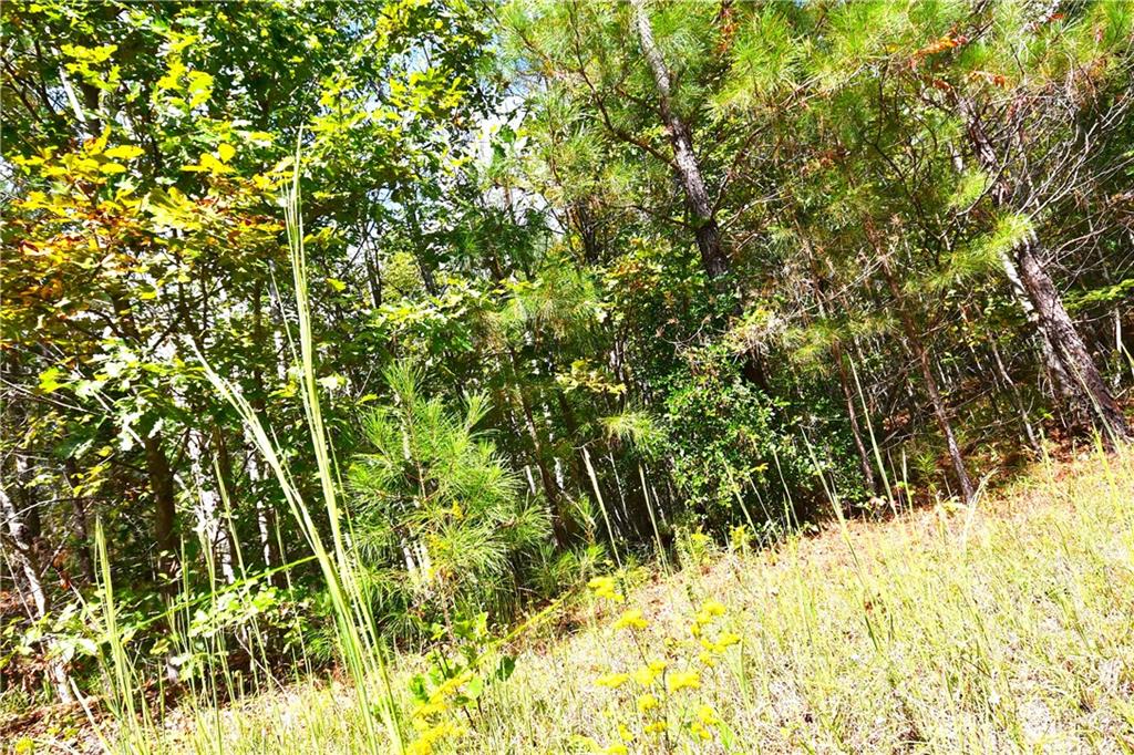 1 Poplar Springs Road Buchanan, GA 30113 - Photo 18 of 39 a view of a yard of a house
