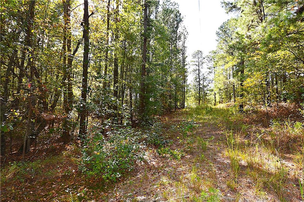 1 Poplar Springs Road Buchanan, GA 30113 - Photo 19 of 39 a close up of a tree