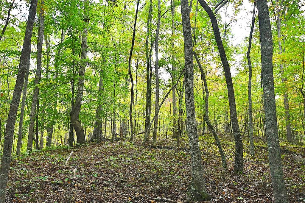 1 Poplar Springs Road Buchanan, GA 30113 - Photo 25 of 39 a view of yard
