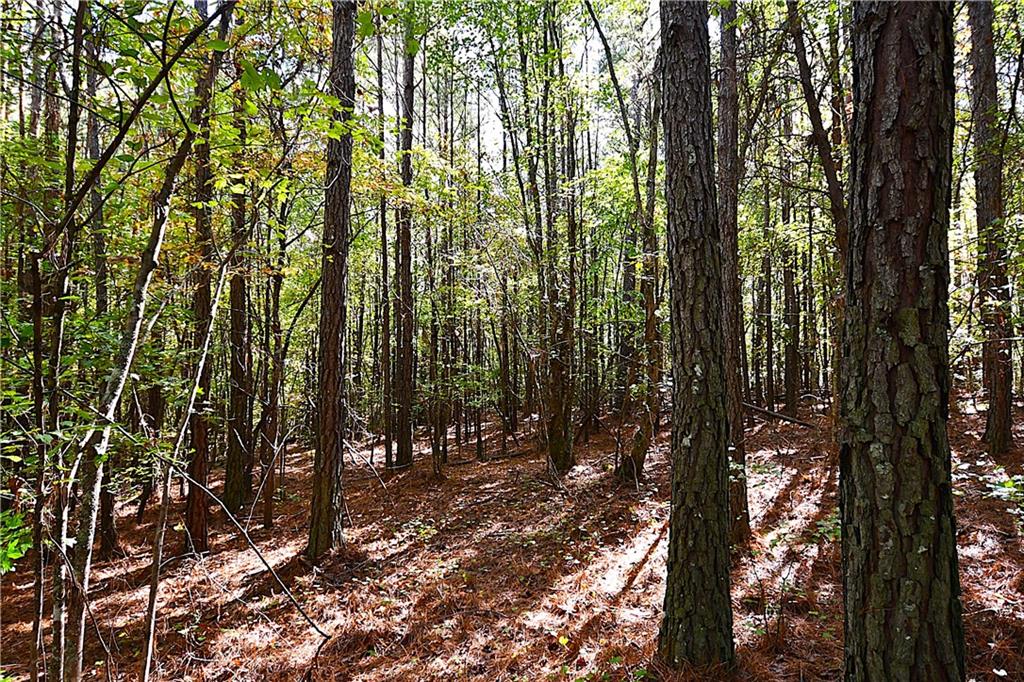 1 Poplar Springs Road Buchanan, GA 30113 - Photo 29 of 39 a view of outdoor space and garden