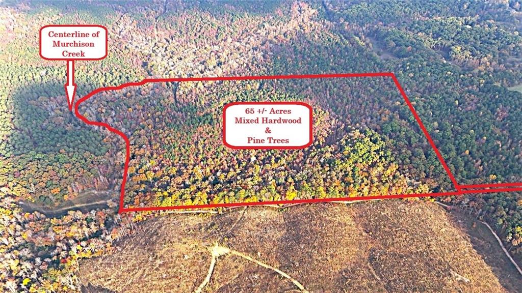 1 Poplar Springs Road Buchanan, GA 30113 - Photo 3 of 39