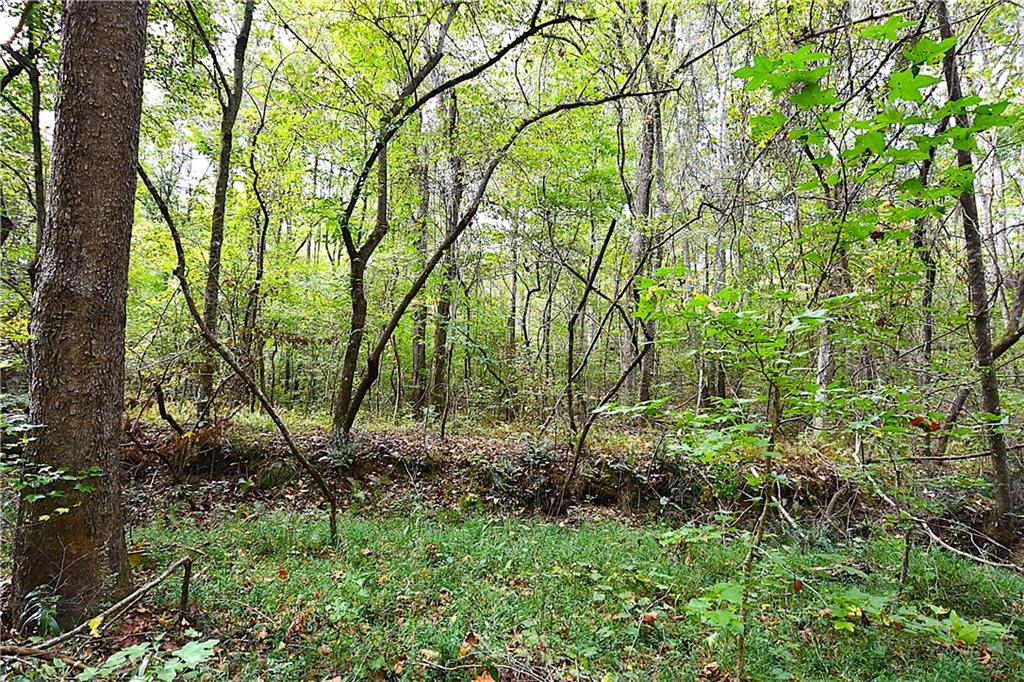 1 Poplar Springs Road Buchanan, GA 30113 - Photo 31 of 39 a backyard of a house with lots of green space