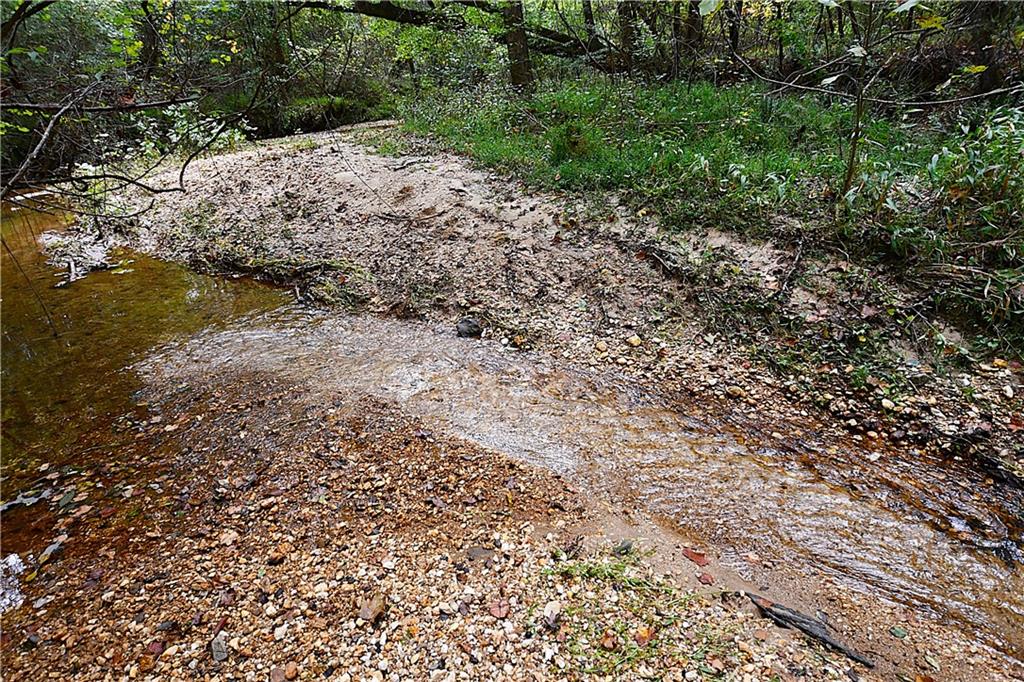 1 Poplar Springs Road Buchanan, GA 30113 - Photo 35 of 39 a view of a yard with plants and large trees