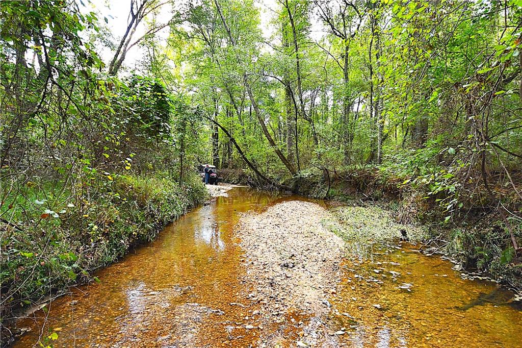 1 Poplar Springs Road Buchanan, GA 30113 - Photo 36 of 39 a view of a yard with trees