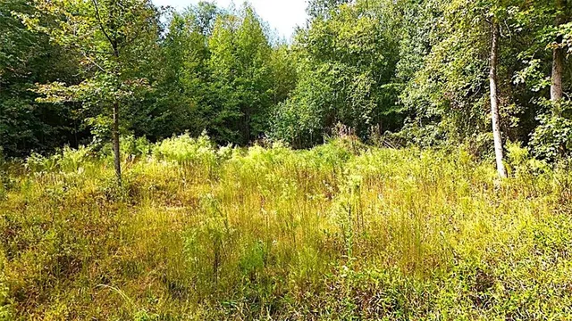 $480,000 | 1 Poplar Springs Road, Buchanan, GA 30113