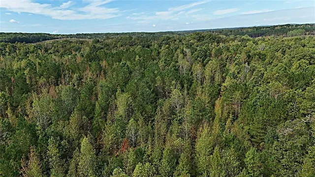 $480,000 | 1 Poplar Springs Road, Buchanan, GA 30113